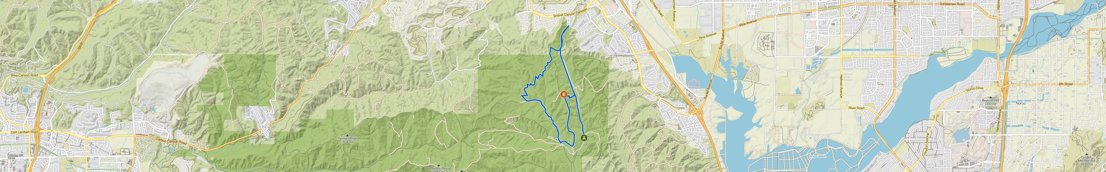 map_image_toggle