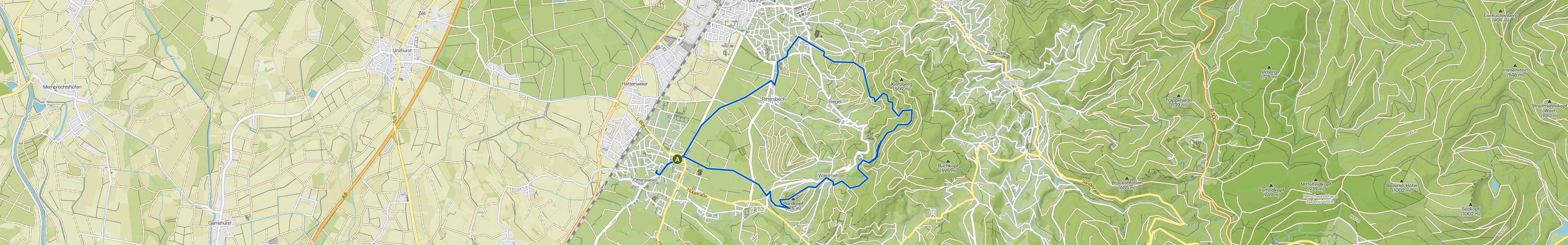 map_image_toggle