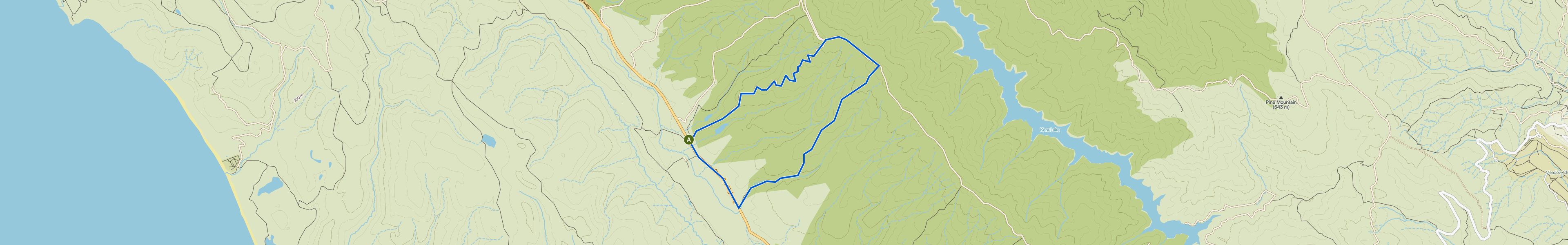 map_image_toggle