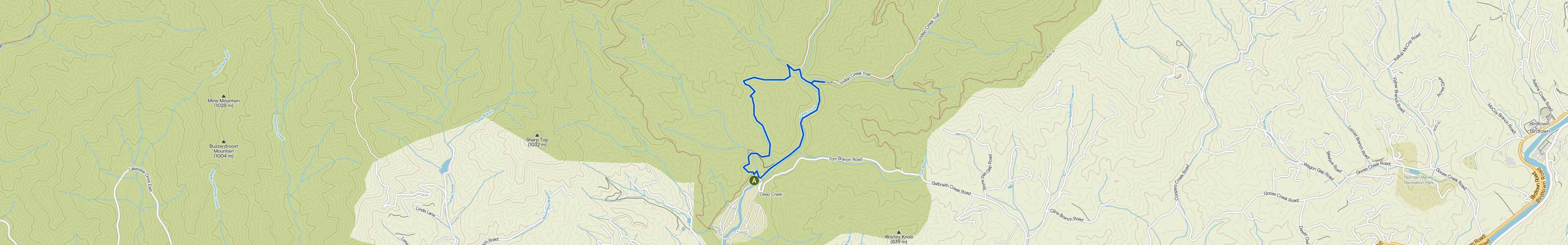 map_image_toggle