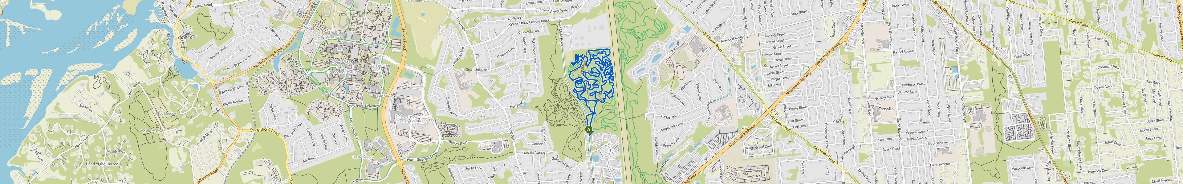 map_image_toggle