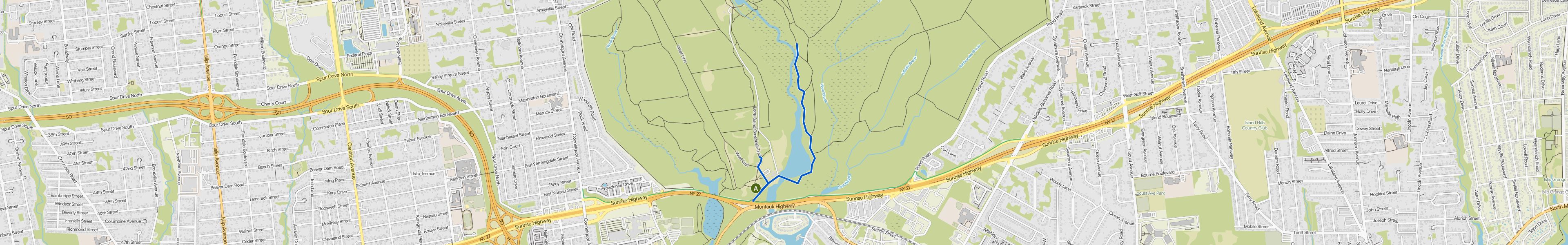 map_image_toggle