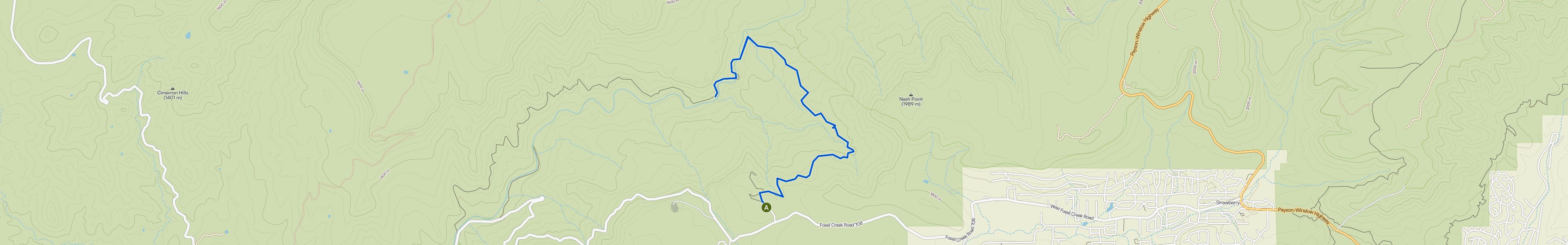 map_image_toggle