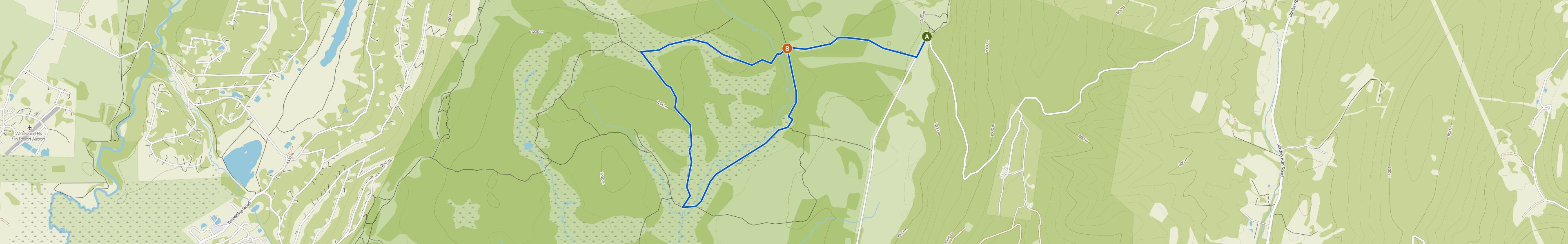 map_image_toggle