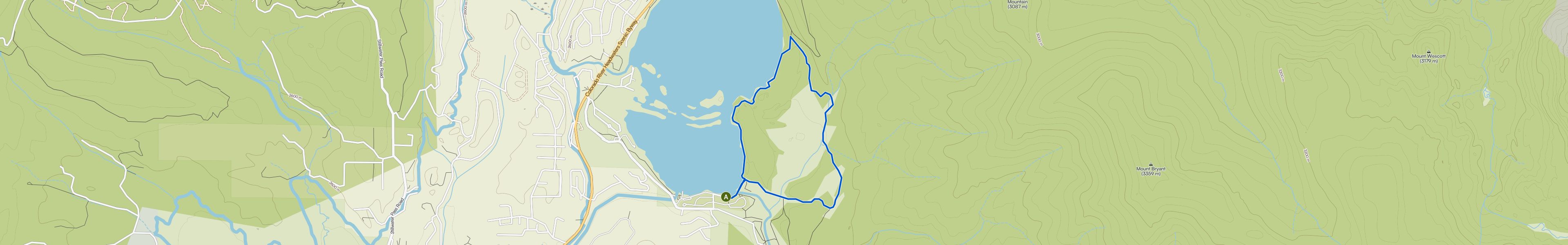 map_image_toggle