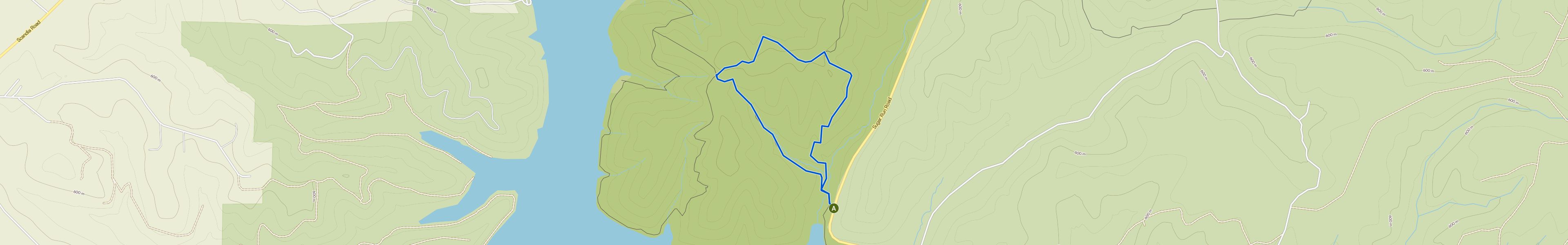 map_image_toggle