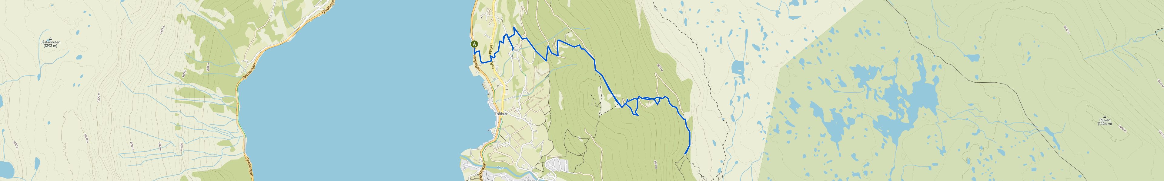 map_image