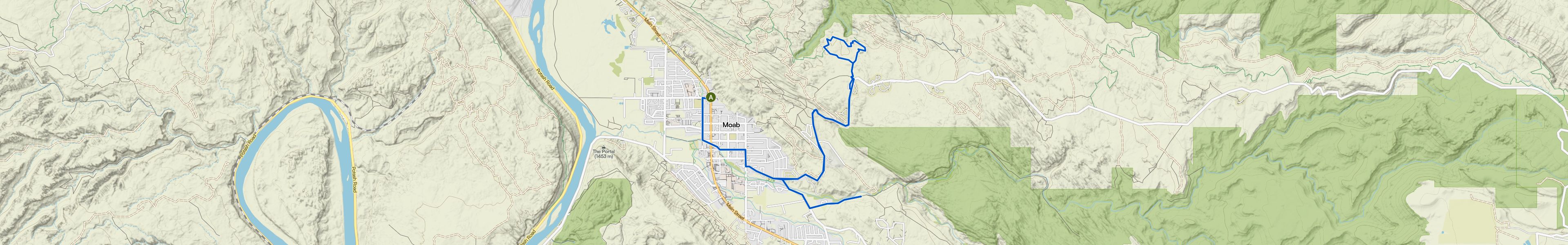 map_image_toggle