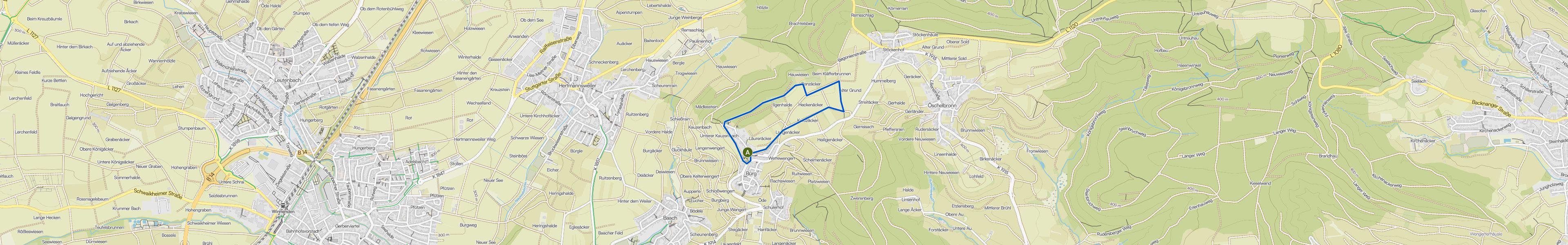 map_image_toggle