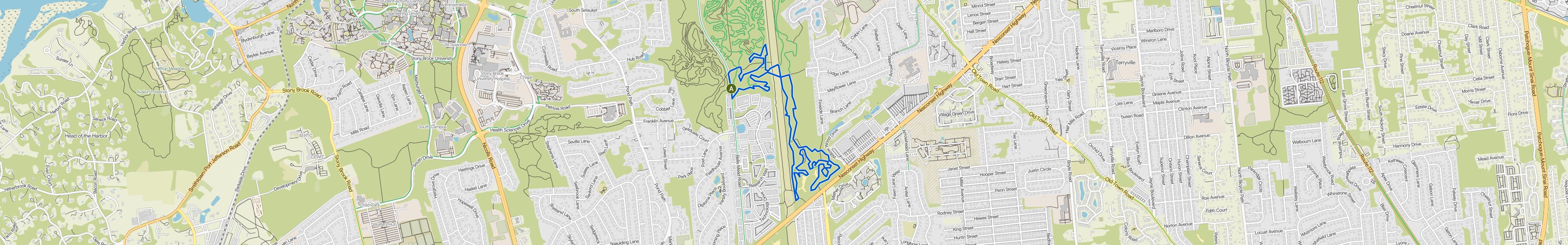 map_image_toggle