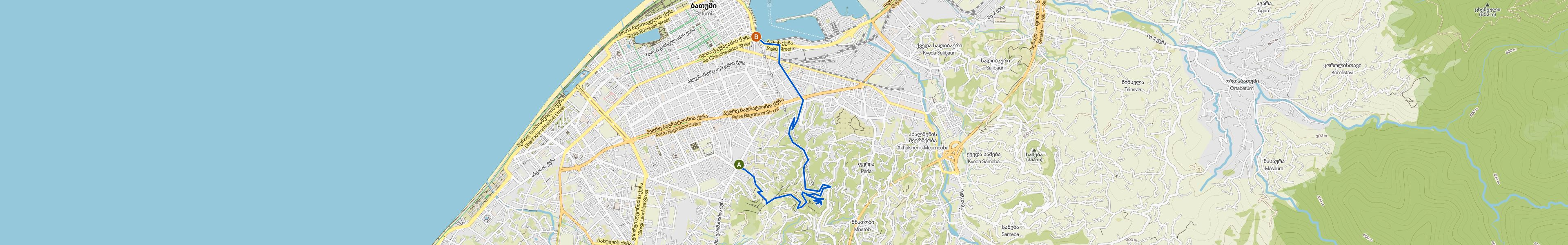 map_image_toggle