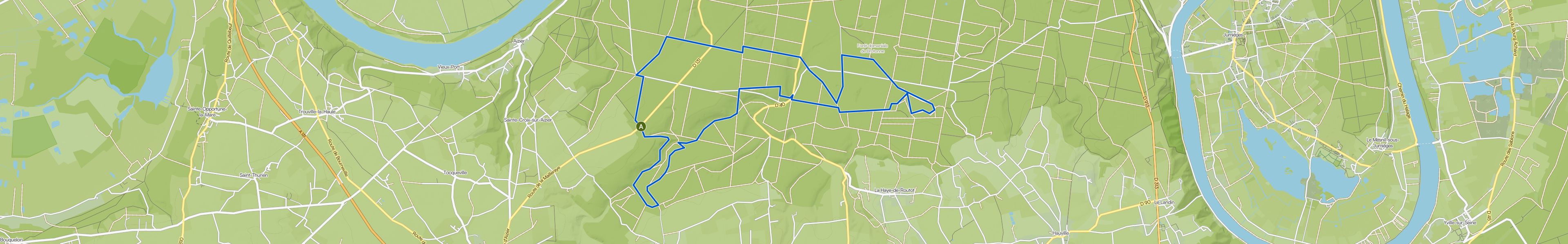 map_image