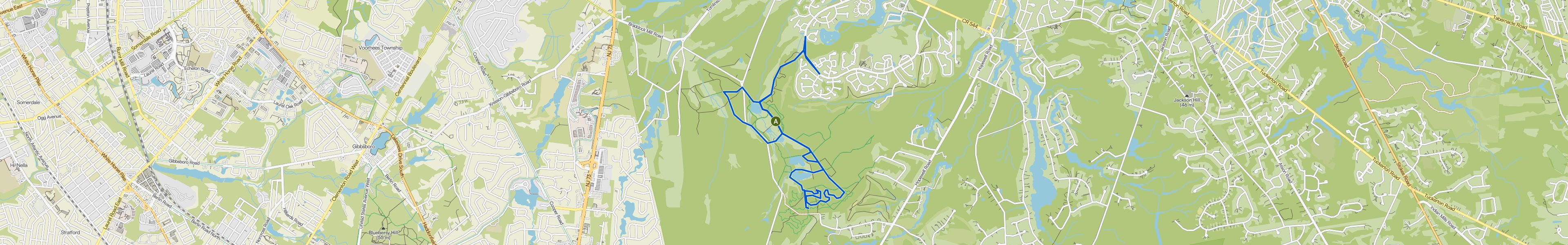 map_image_toggle