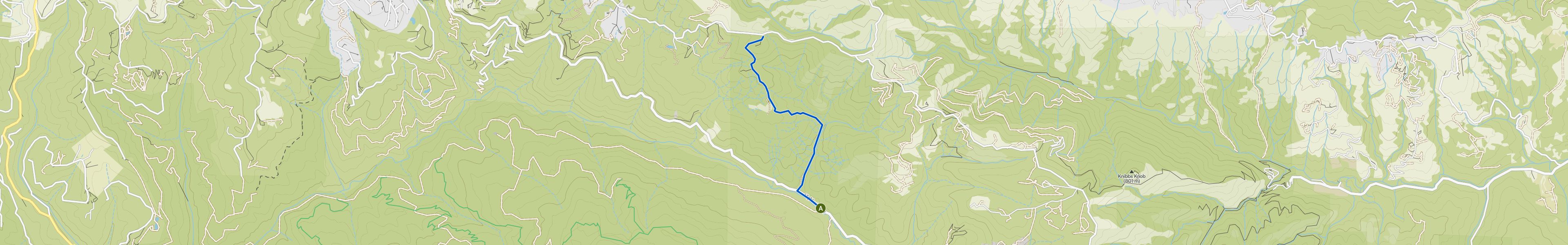map_image_toggle