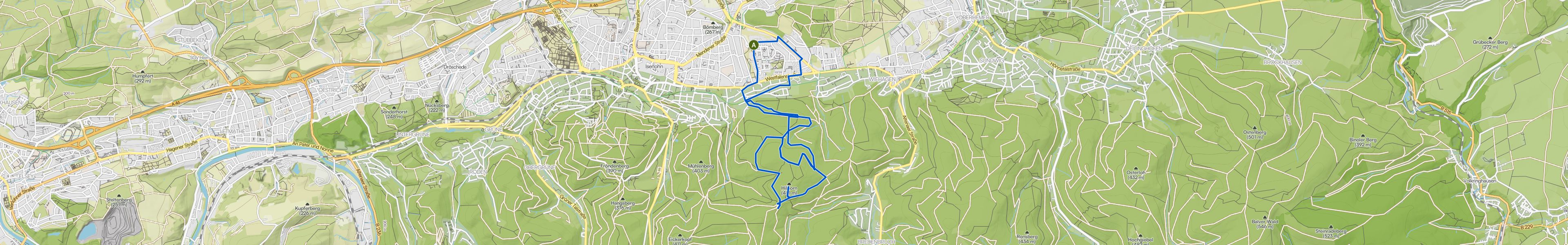 map_image