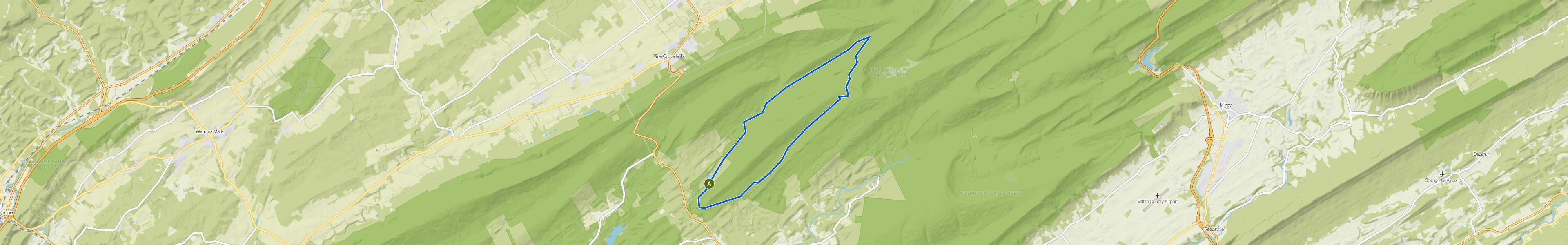 map_image_toggle
