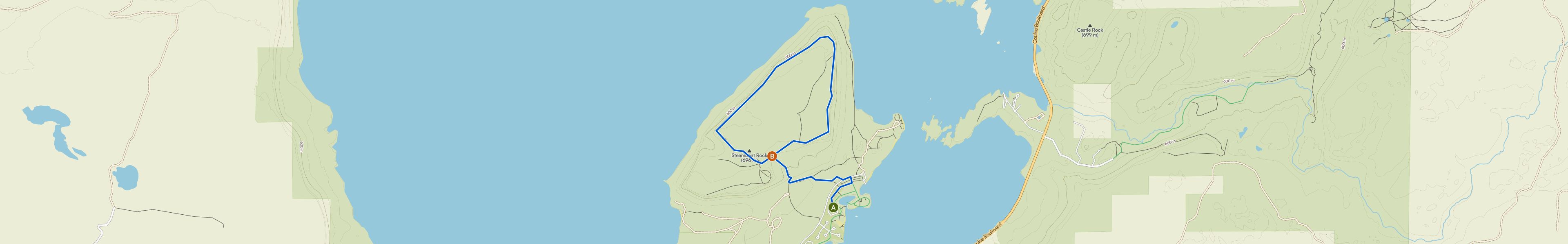 map_image_toggle