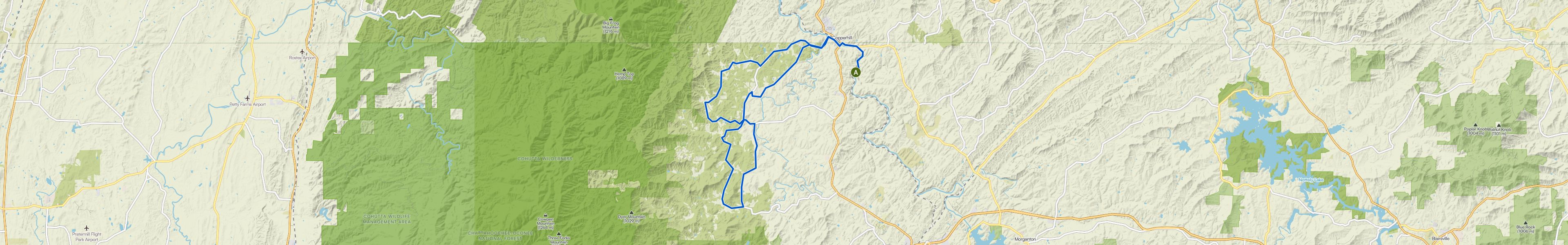 map_image_toggle
