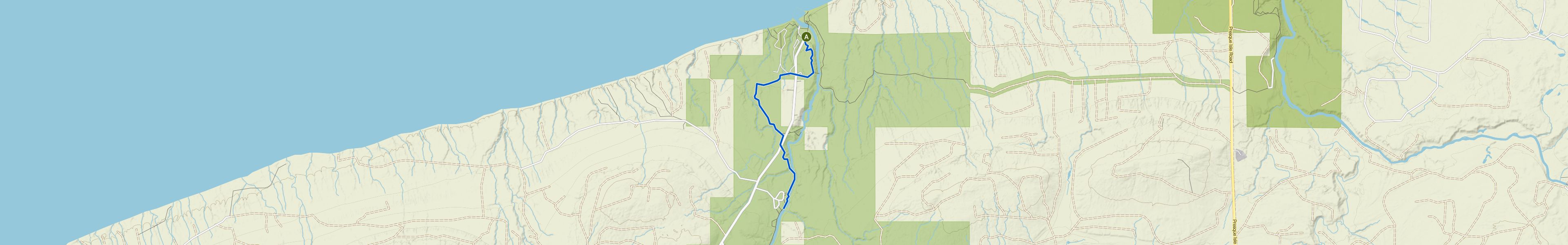 map_image_toggle