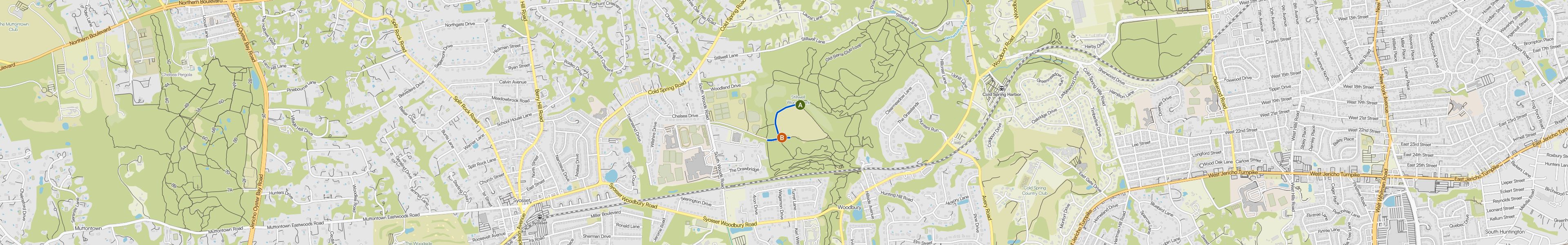 map_image_toggle