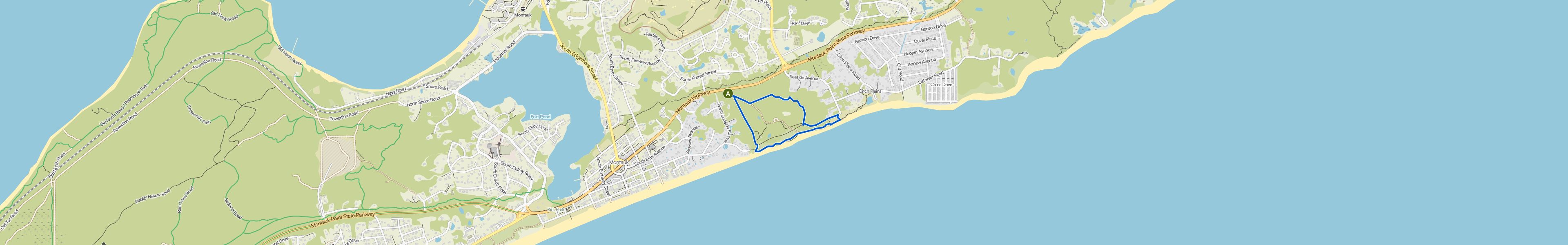map_image_toggle