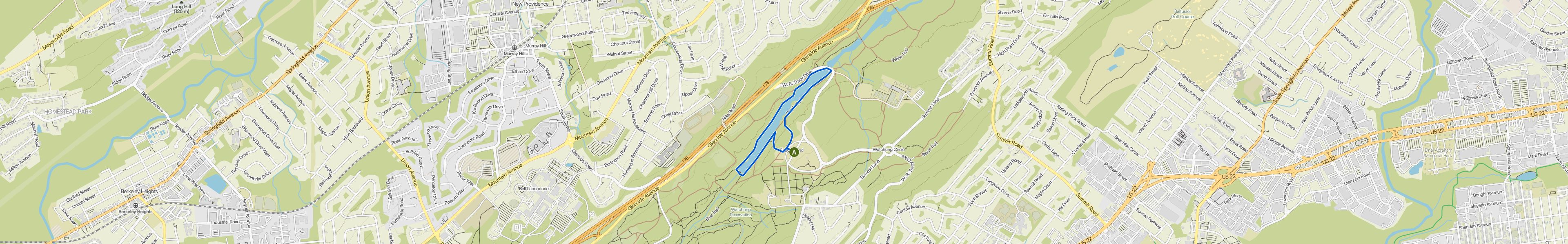 map_image_toggle