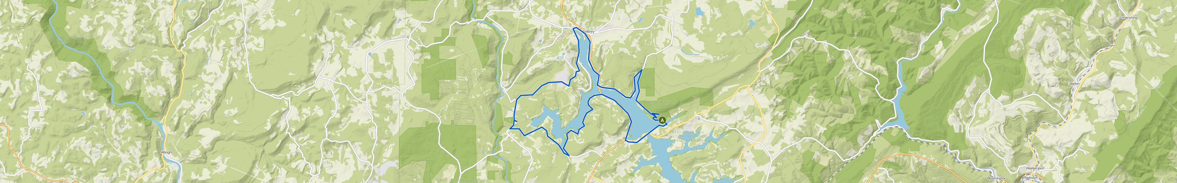 map_image_toggle