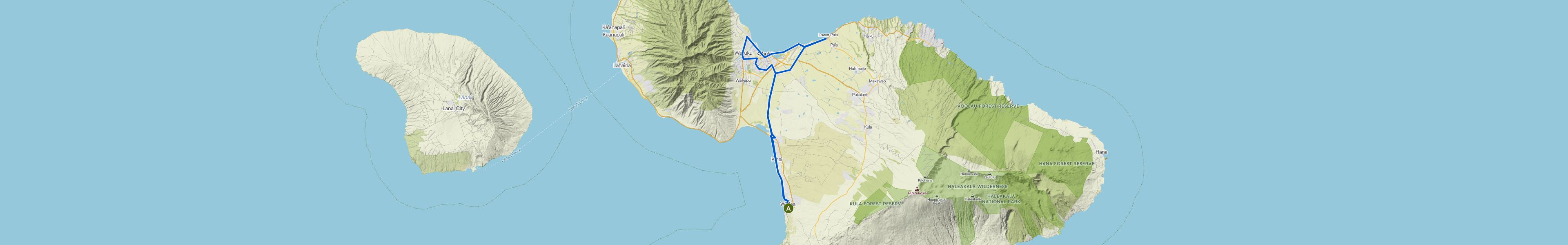 map_image_toggle