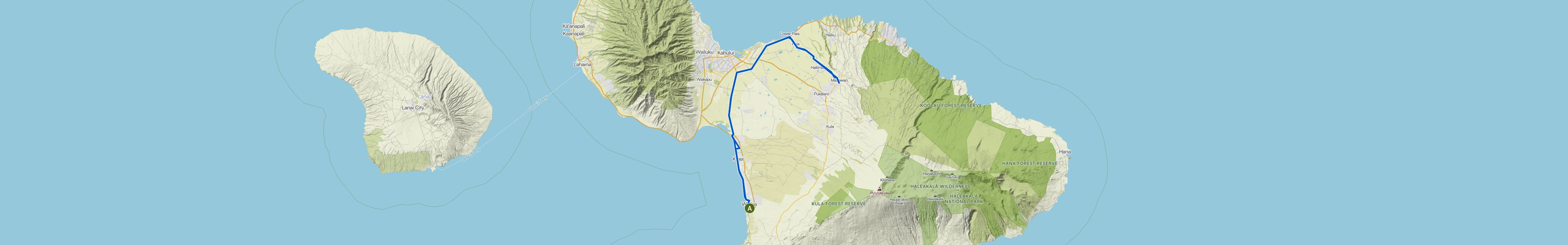 map_image_toggle