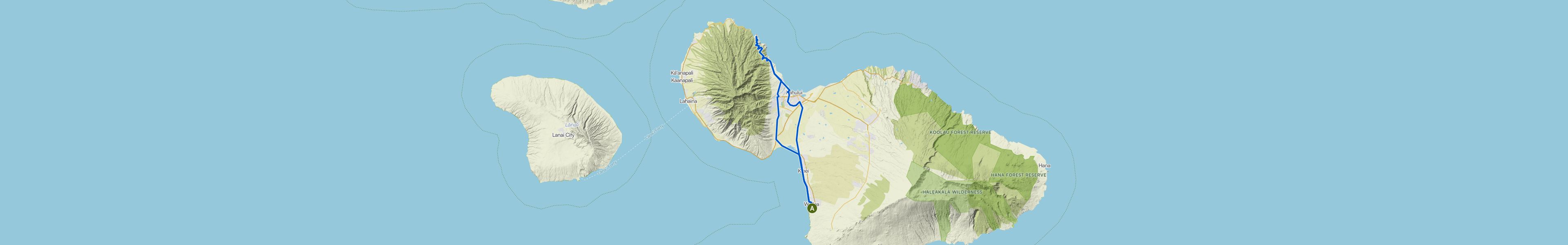 map_image_toggle