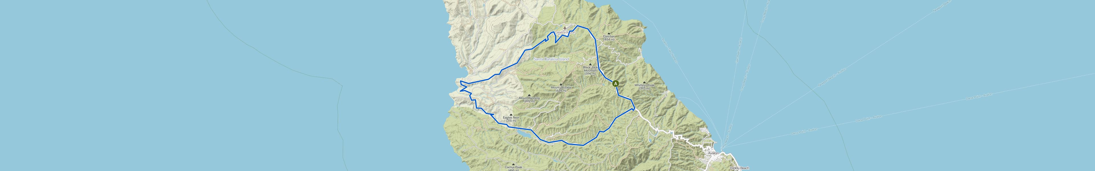 map_image_toggle