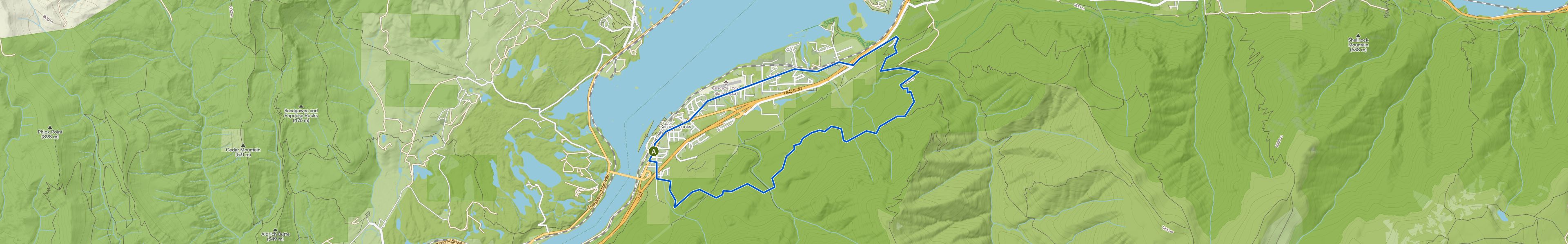 map_image_toggle