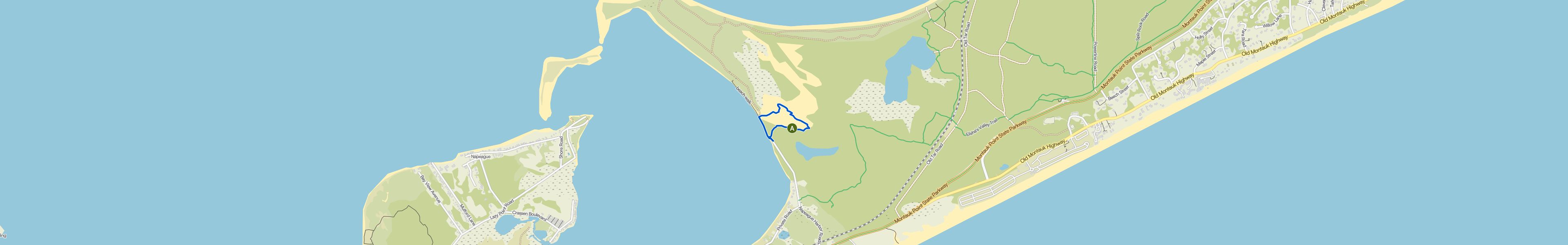 map_image_toggle