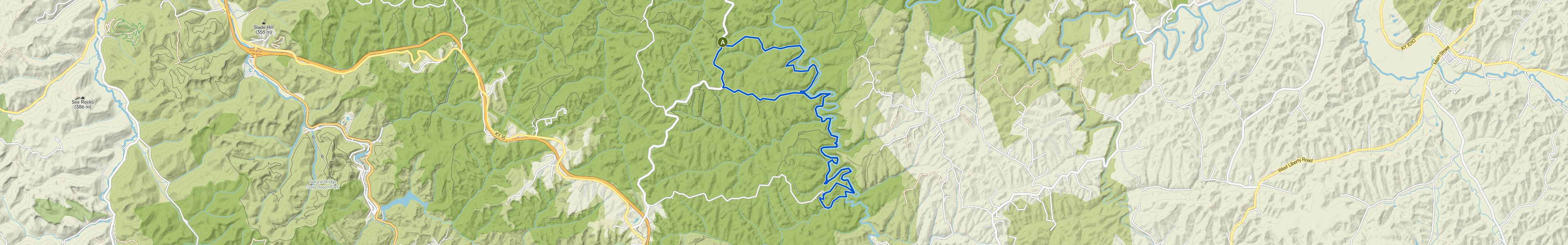map_image_toggle