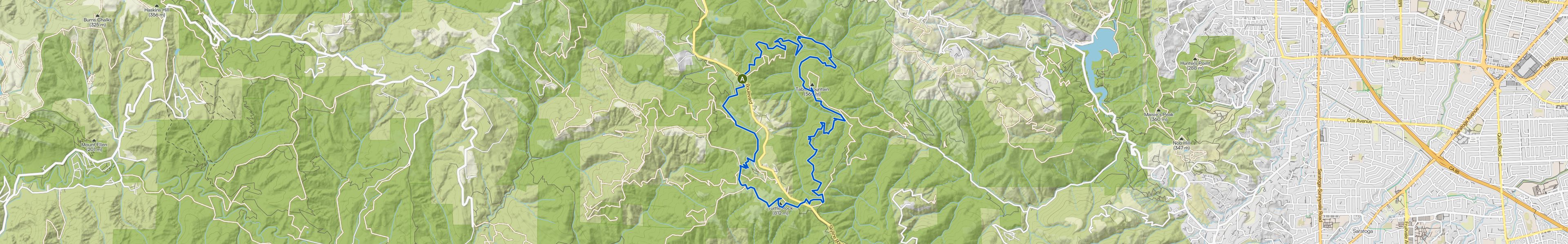 map_image_toggle