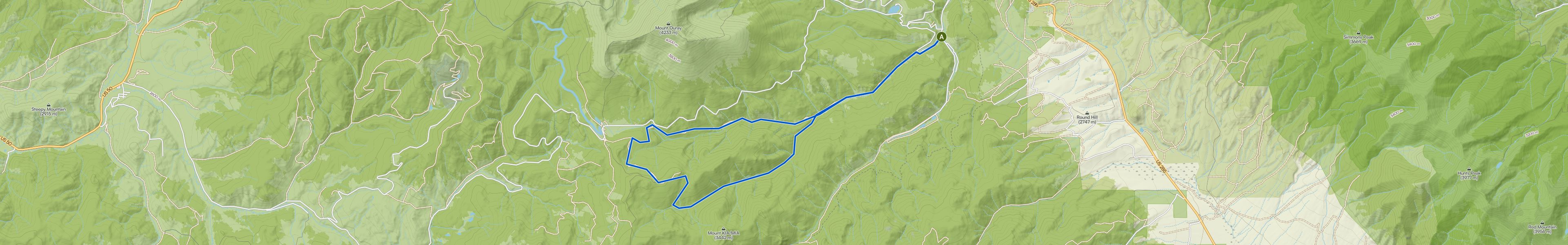 map_image_toggle