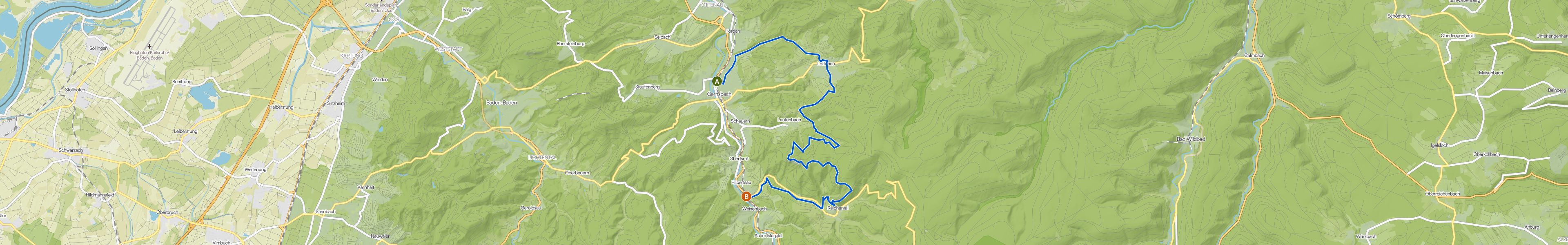 map_image_toggle