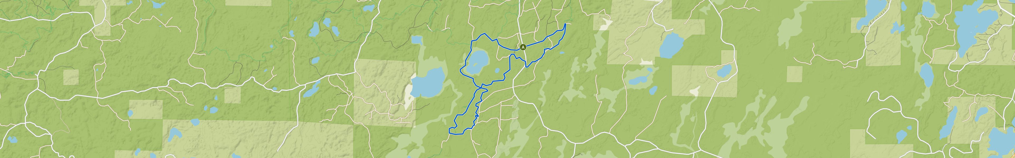 map_image_toggle