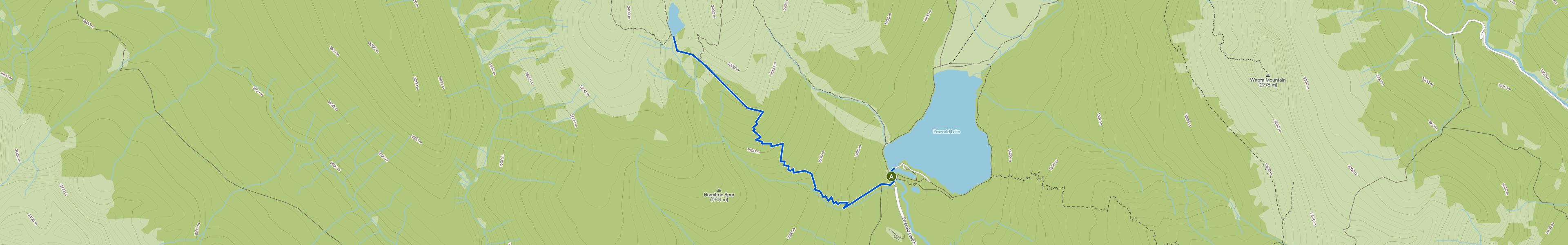 map_image