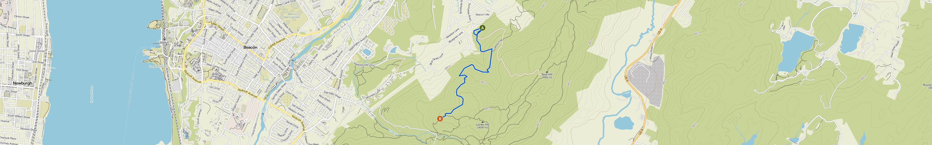 map_image_toggle