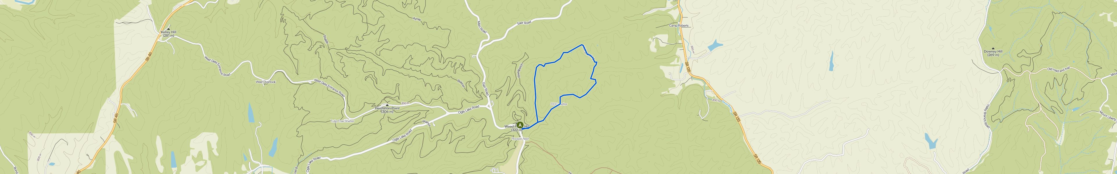 map_image_toggle