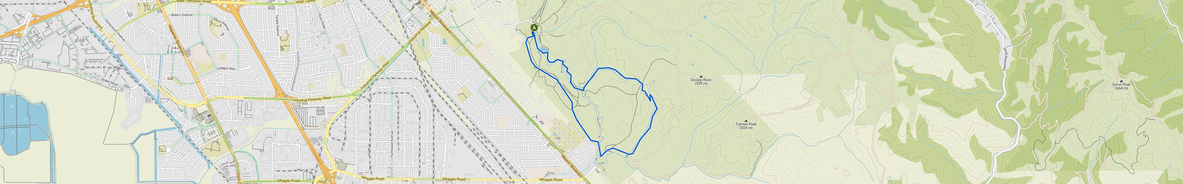 map_image_toggle