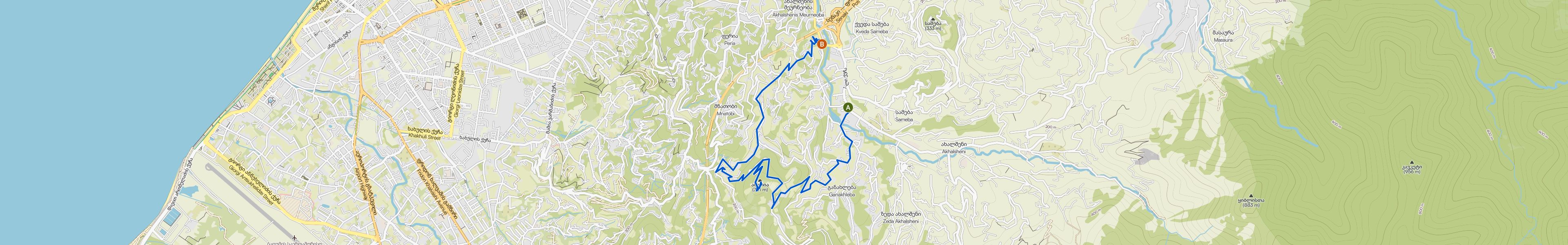 map_image_toggle