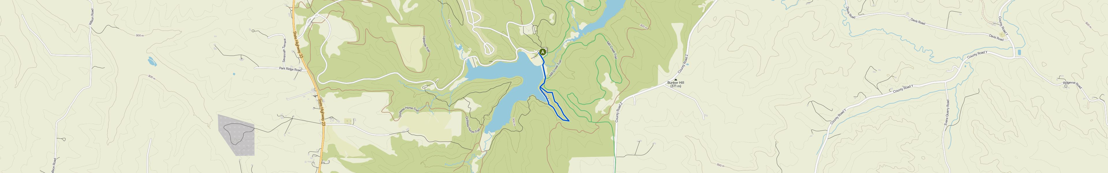map_image_toggle
