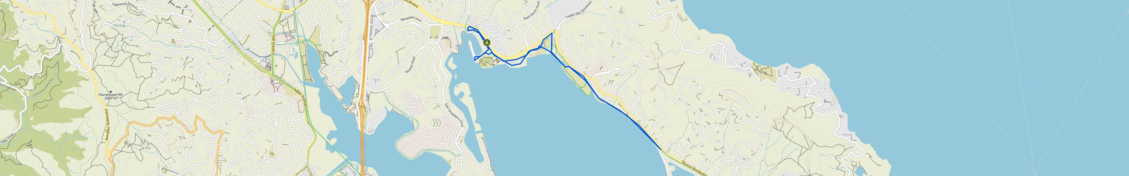 map_image_toggle
