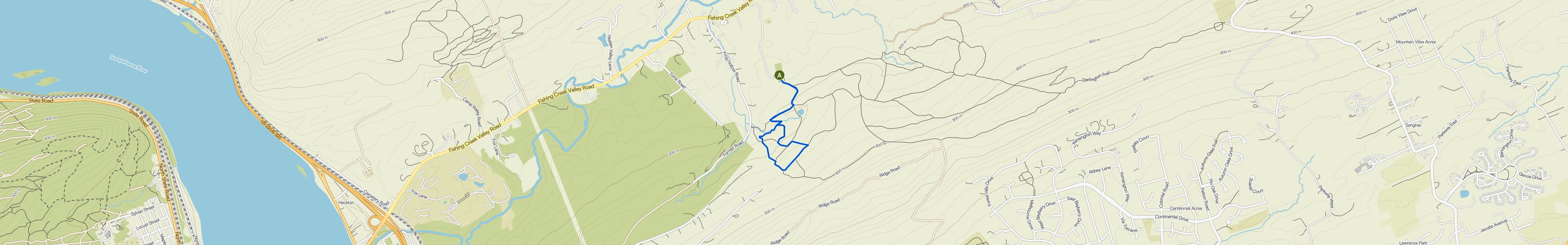 map_image_toggle