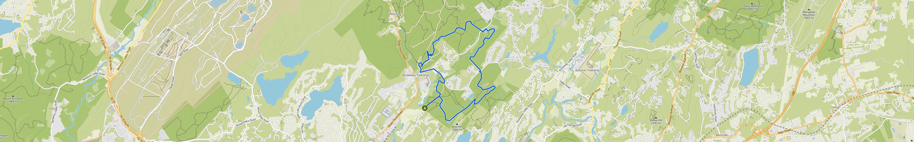 map_image_toggle