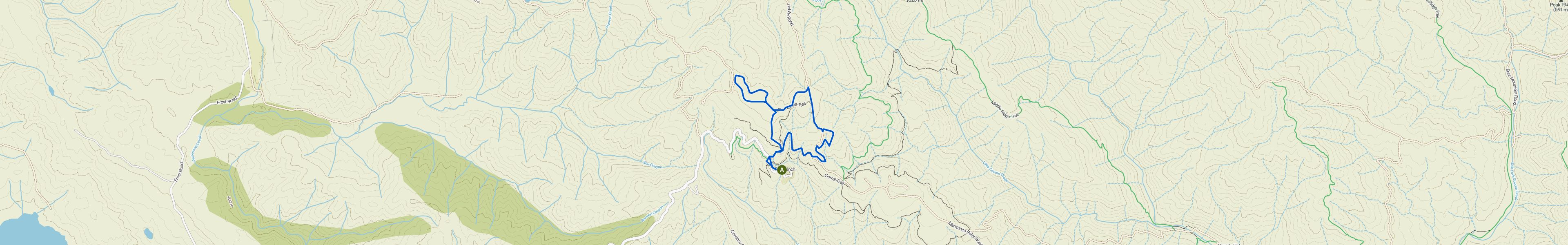 map_image_toggle