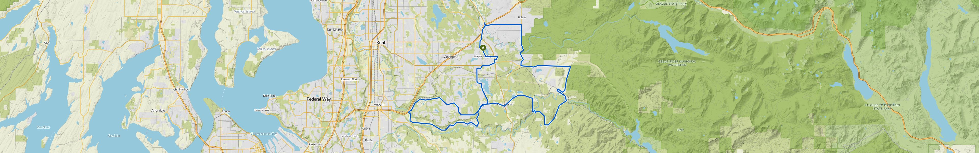 map_image_toggle