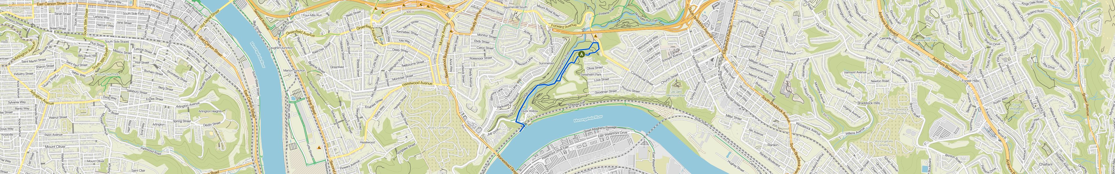 map_image_toggle